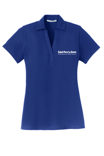 L5001 Port Authority® Ladies Silk Touch™ Y-Neck Polo ($17.98)<br> Colors: Royal Blue, Navy, Grey, Black